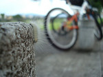 2799953128_ef43b50ebb_m.jpg