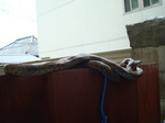 3504376908_22bb8d00ac.jpg