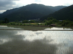3563306856_964caa01d2.jpg
