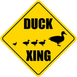 DuckXing.jpg
