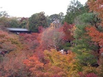 IMG_5249.jpg