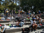 bikes.jpg