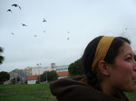 birds.jpg