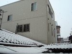 snow.jpg